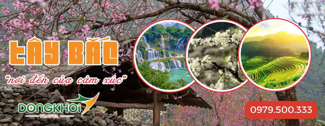 DONG KHOI TRAVEL - KHẲNG ĐỊNH ĐẲNG CẤP MỖI HÀNH TRÌNH